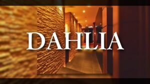 銀座クラブ　ダリア（DAHLIA）